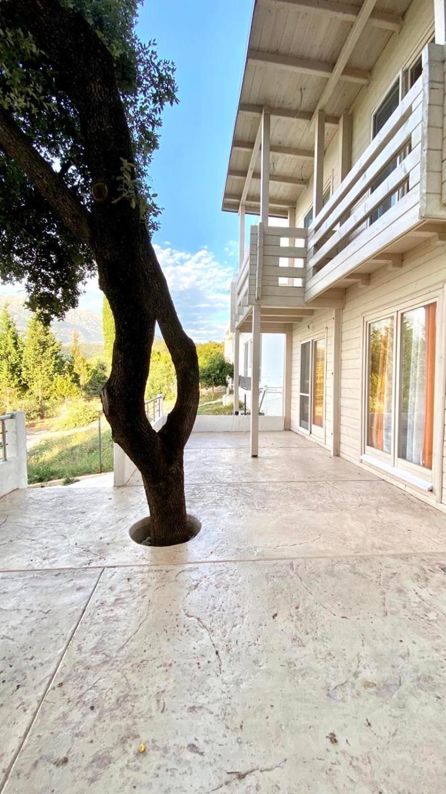 אוטייהא Seastar Eco Villa מראה חיצוני תמונה